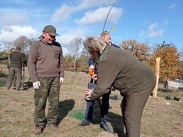 Nowy sad w Tadzinie założony 22.10.2021r. w ramach projektu Owoce pamięci, 